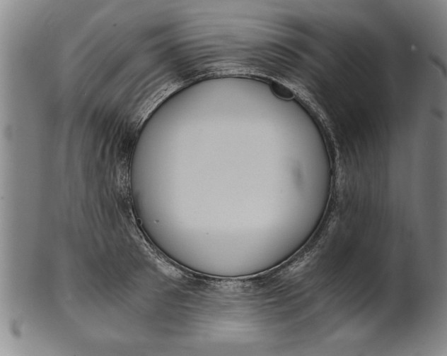 X0000101950897200808081503