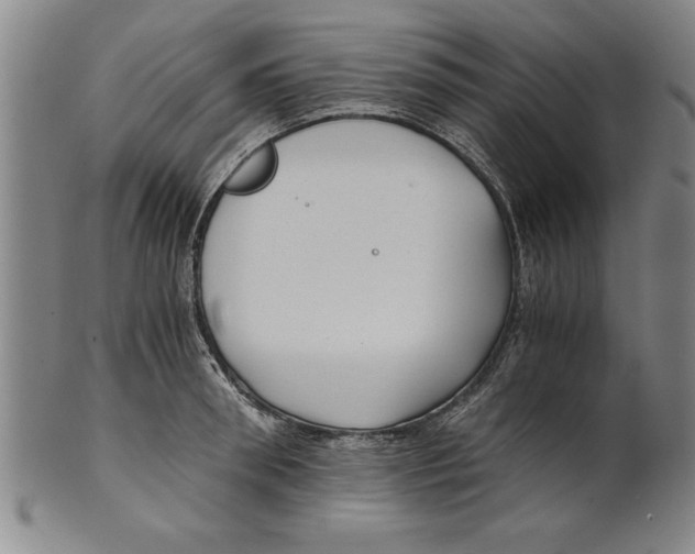 X0000101950898200808081503
