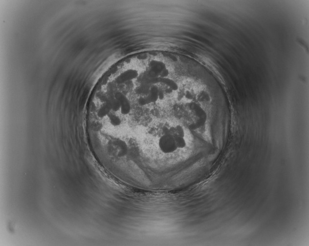 X0000101950899200808081503