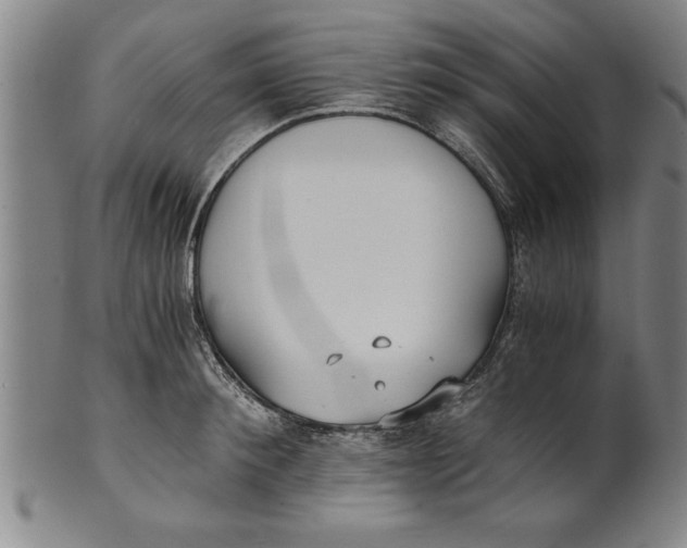 X0000101950900200808081503