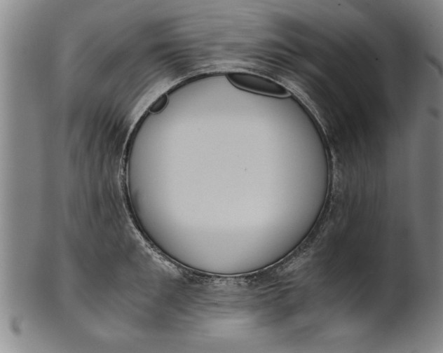 X0000101950901200808081503