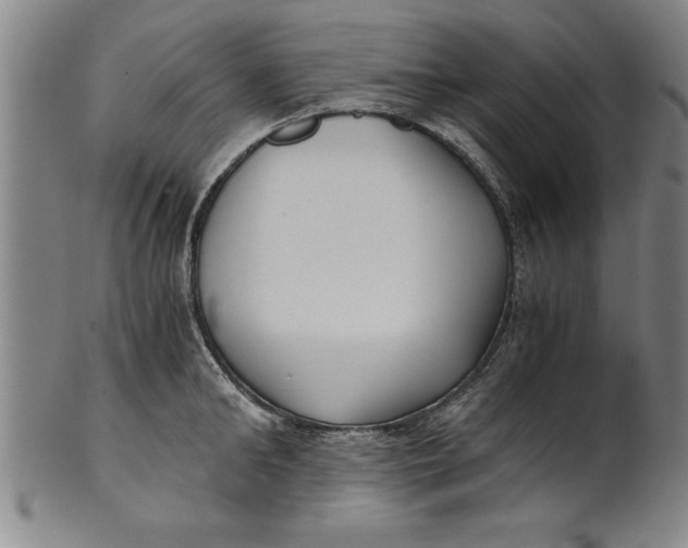 X0000101950902200808081503