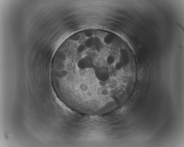 X0000101950903200808081503