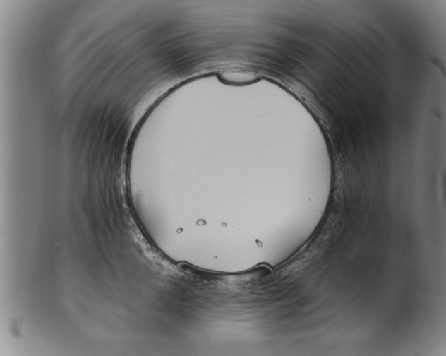 X0000101950904200808081503