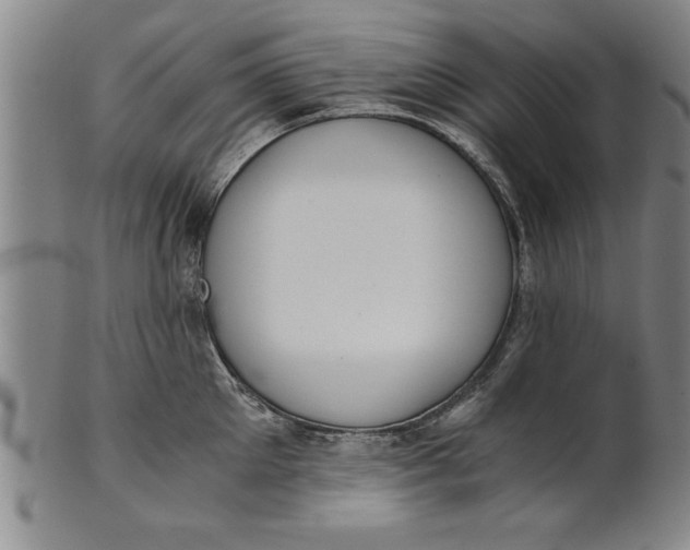 X0000101950905200808081503