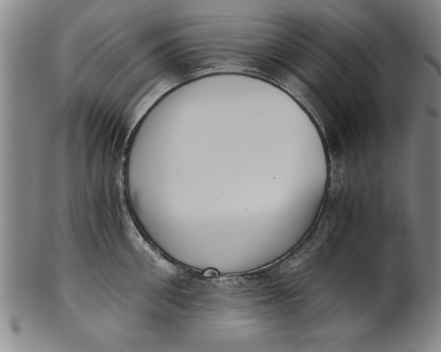 X0000101950906200808081503