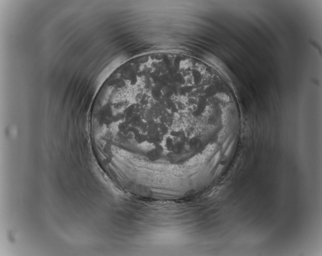 X0000101950907200808081503