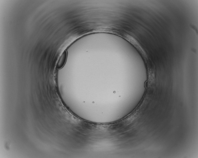 X0000101950908200808081503