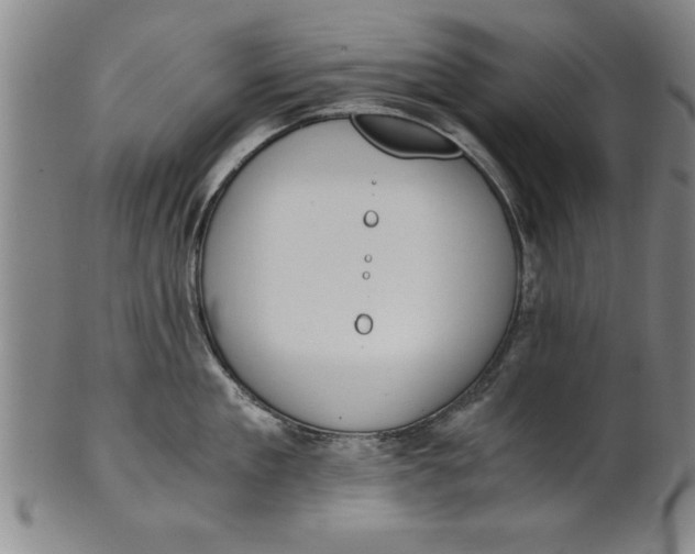 X0000101950909200808081503