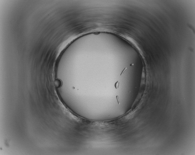 X0000101950910200808081503