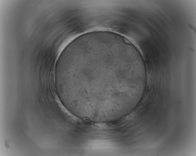 X0000101950911200808081503