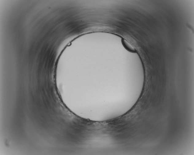 X0000101950912200808081503