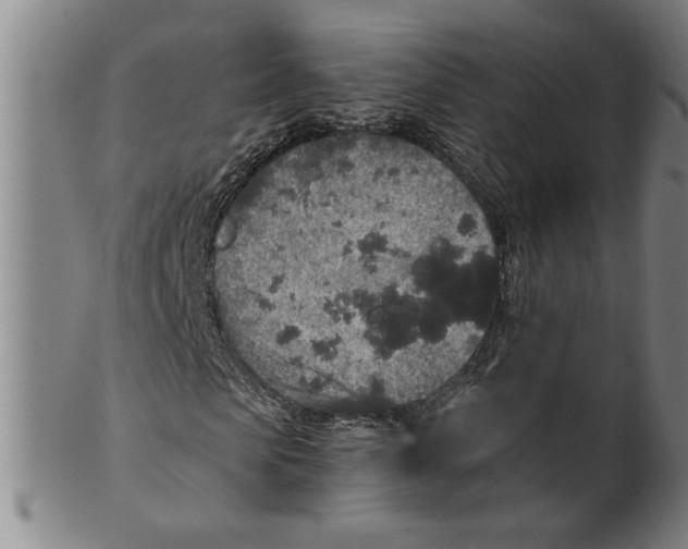 X0000101950913200808081502