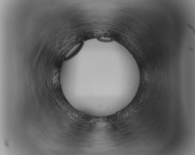 X0000101950914200808081502