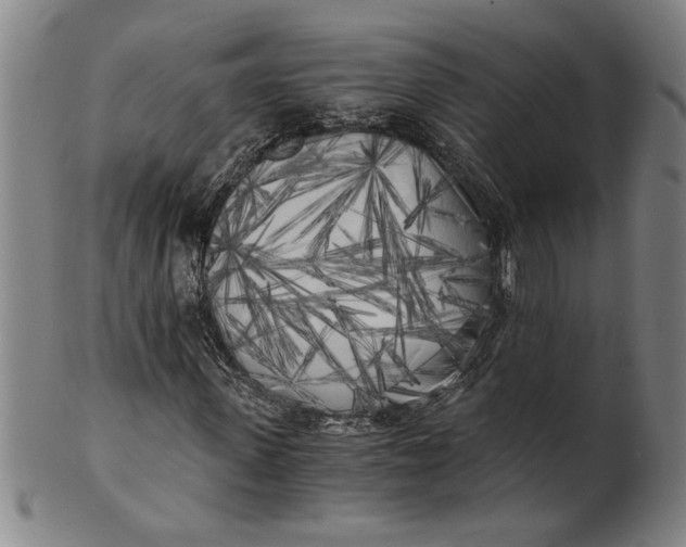 X0000101950915200808081502
