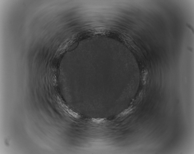 X0000101950916200808081502