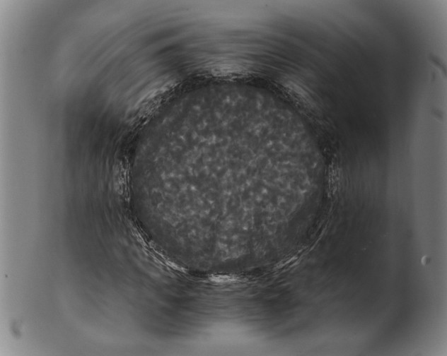 X0000101950917200808081502