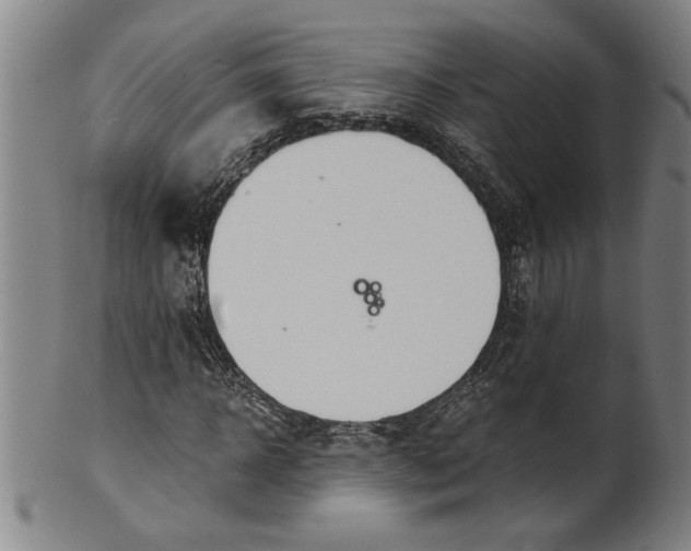 X0000101950918200808081502