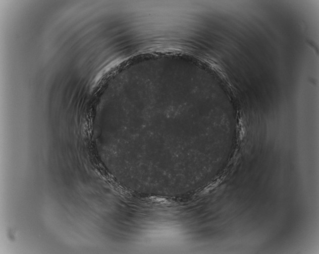 X0000101950920200808081502