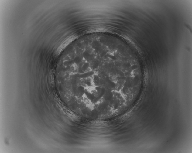 X0000101950921200808081502