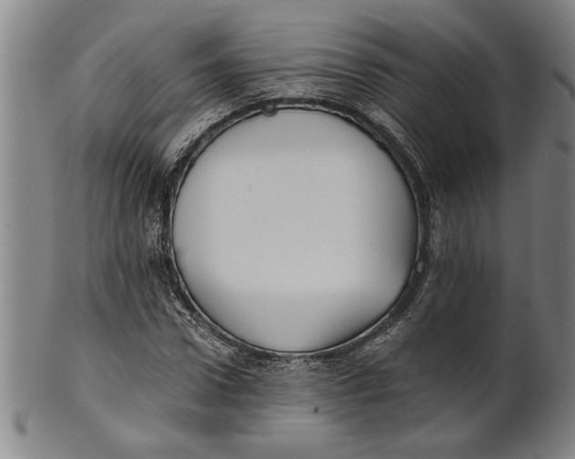 X0000101950922200808081502