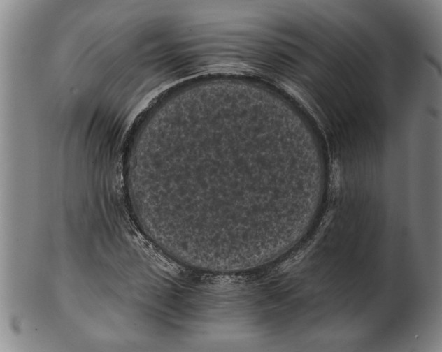 X0000101950923200808081502