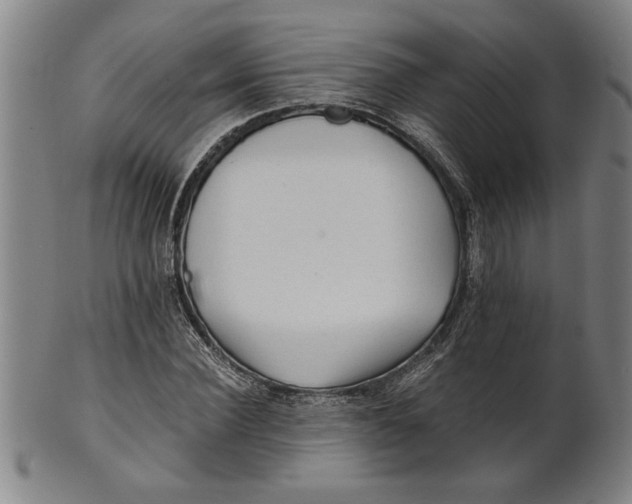 X0000101950924200808081502