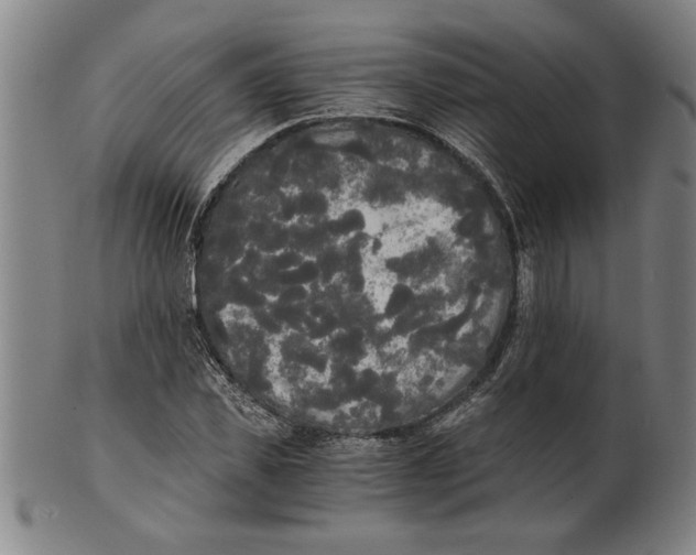 X0000101950925200808081502