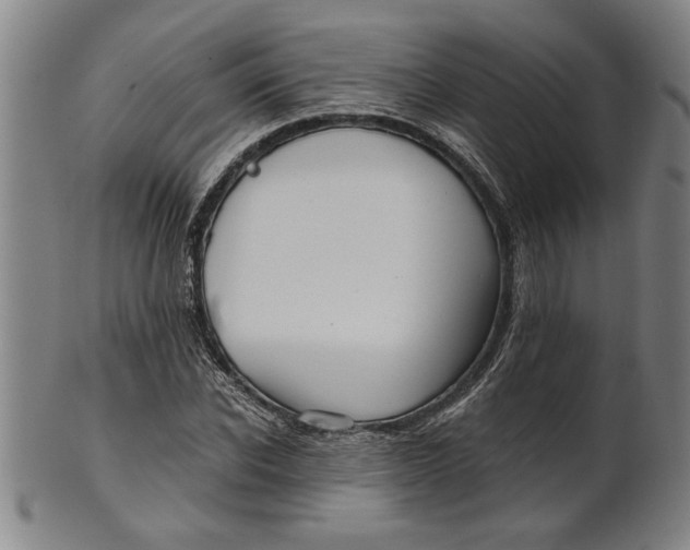 X0000101950926200808081502