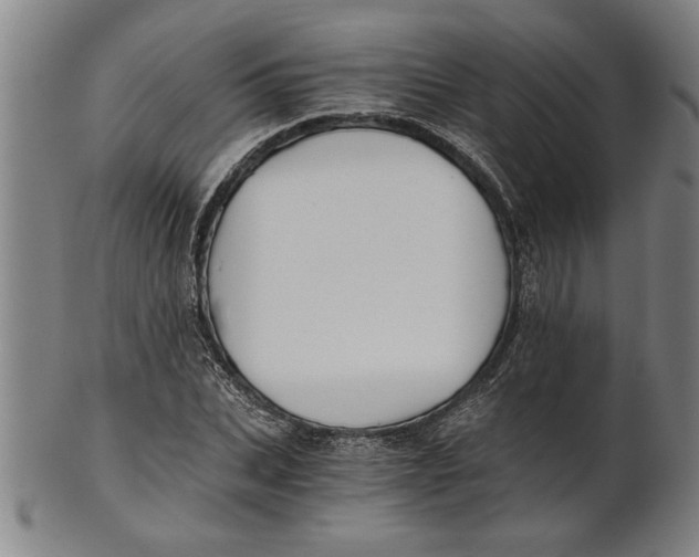 X0000101950927200808081502