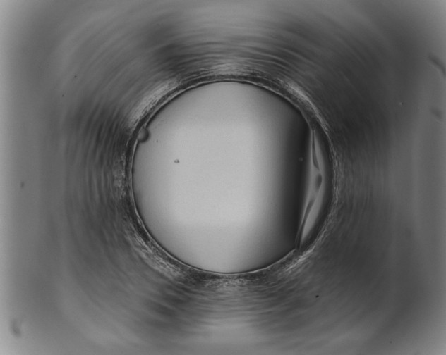 X0000101950930200808081502
