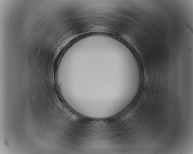 X0000101950931200808081502
