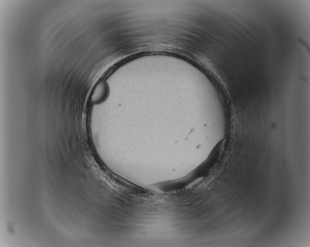 X0000101950932200808081502