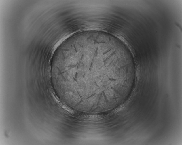 X0000101950933200808081502