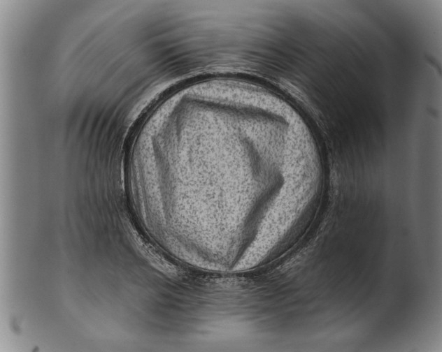 X0000101950934200808081502