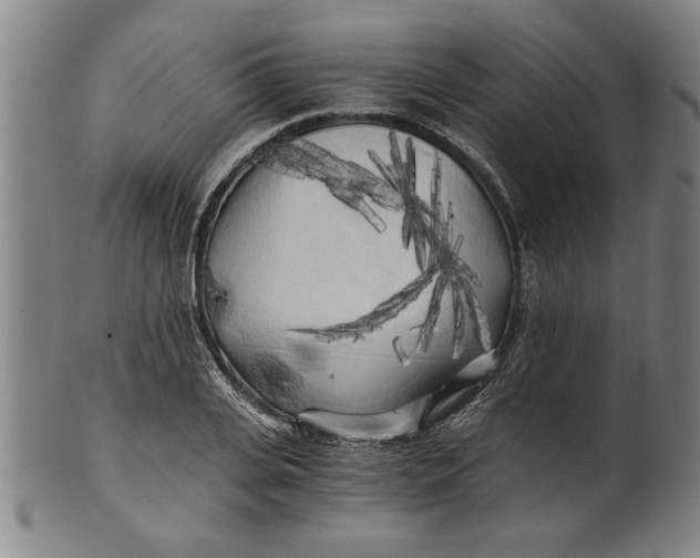 X0000101950935200808081502