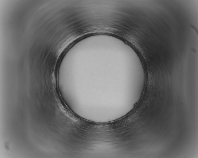 X0000101950936200808081502