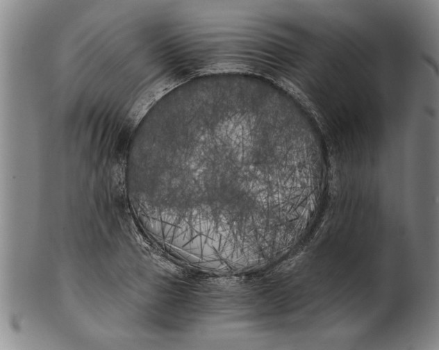 X0000101950937200808081502
