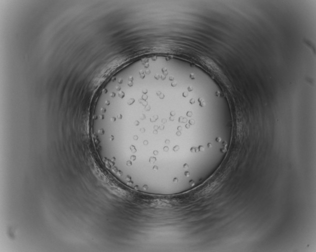 X0000101950938200808081502