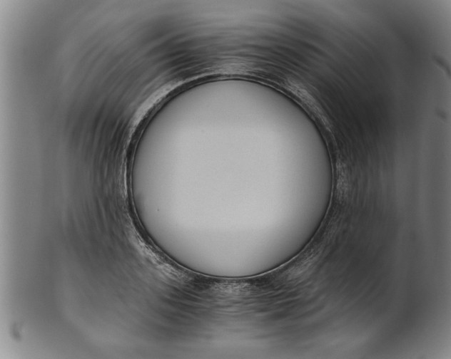 X0000101950939200808081502