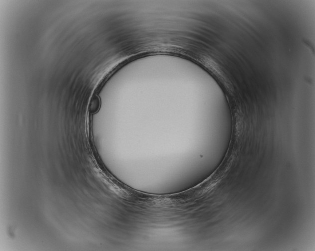 X0000101950940200808081502