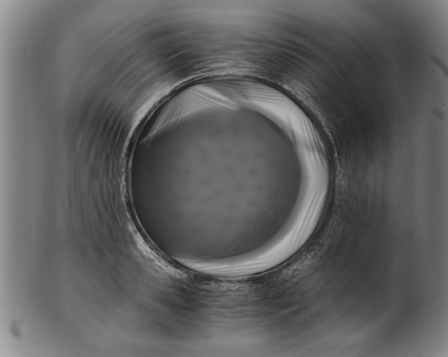 X0000101950941200808081502