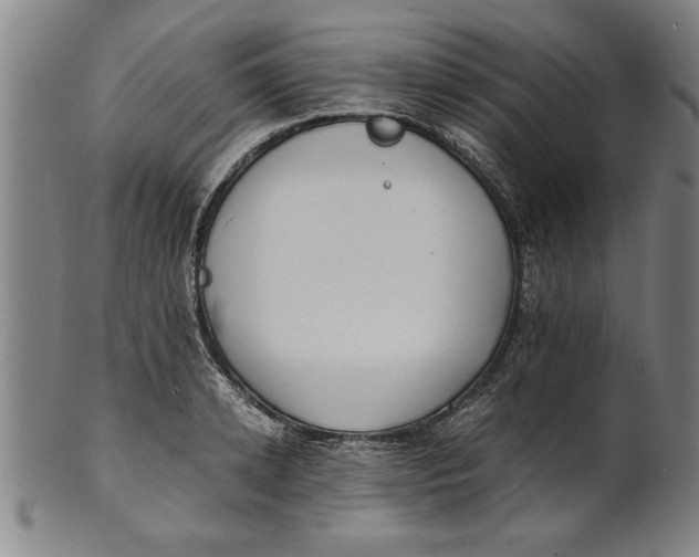 X0000101950942200808081502