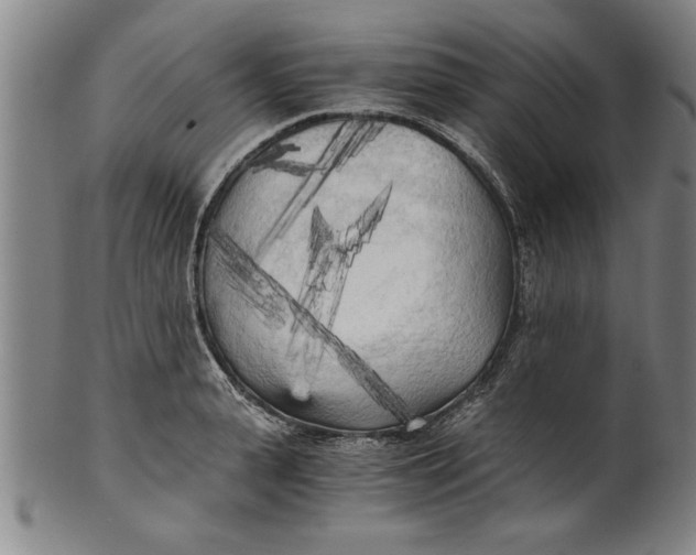 X0000101950943200808081502