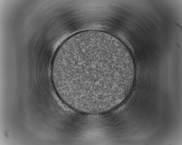 X0000101950944200808081502