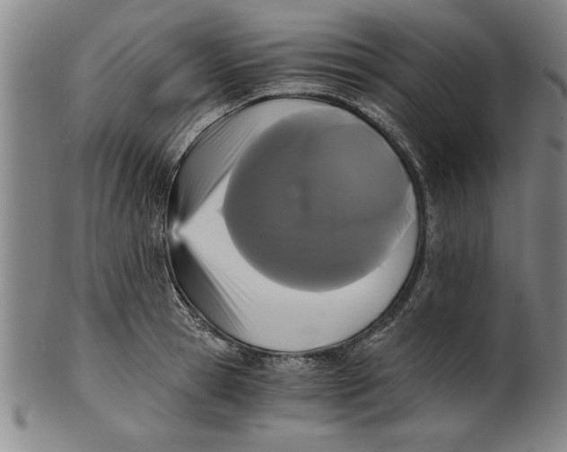 X0000101950945200808081502