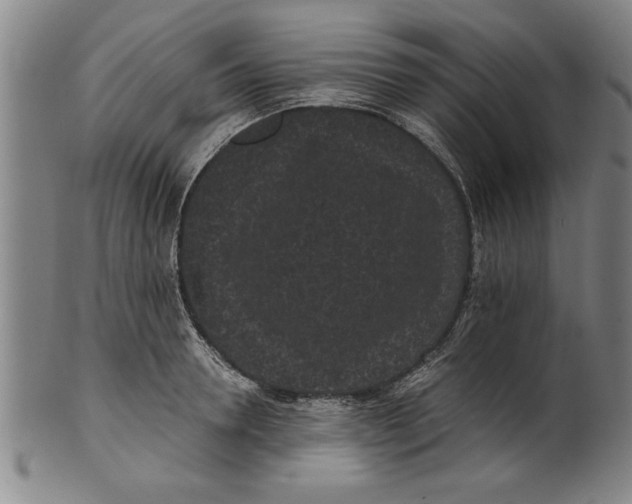 X0000101950946200808081502
