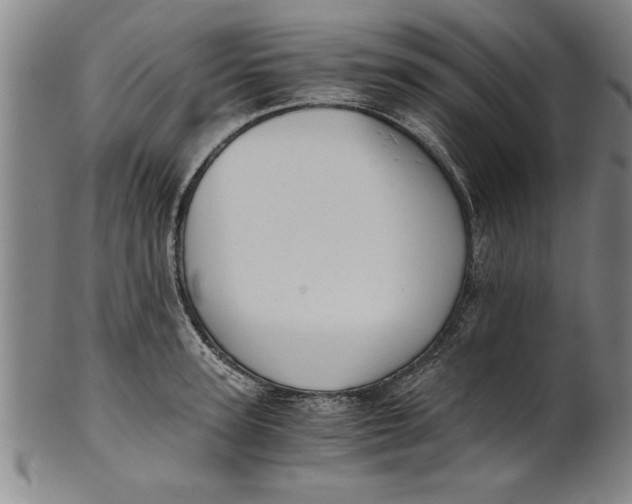 X0000101950947200808081502