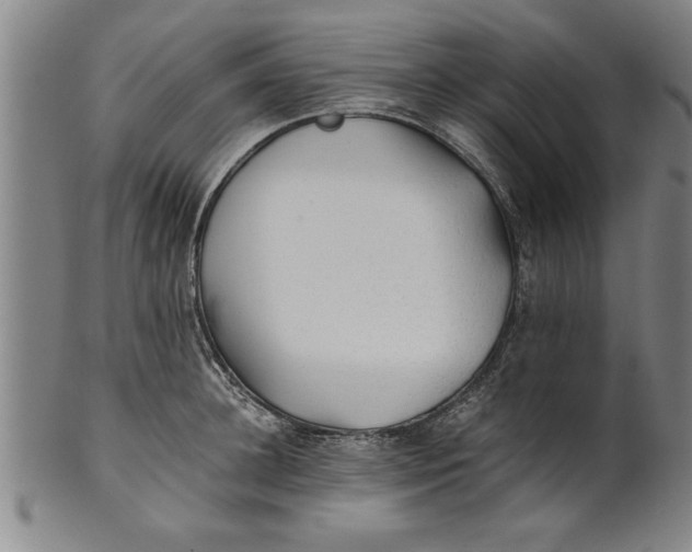 X0000101950948200808081502