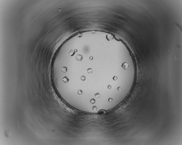 X0000101950949200808081502